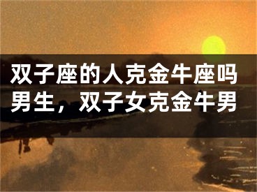 双子座的人克金牛座吗男生，双子女克金牛男