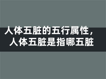 人体五脏的五行属性，人体五脏是指哪五脏