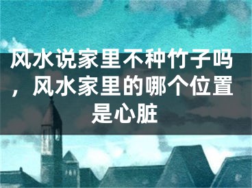 风水说家里不种竹子吗，风水家里的哪个位置是心脏