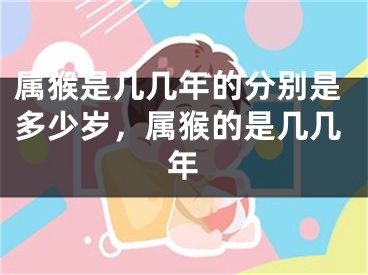 属猴是几几年的分别是多少岁,属猴的是几几年