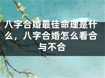 八字合婚最佳命理是什么,八字合婚怎么看合与不合