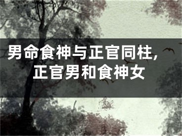男命食神与正官同柱,正官男和食神女