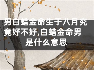 男白蜡金命生于八月究竟好不好,白蜡金命男是什么意思