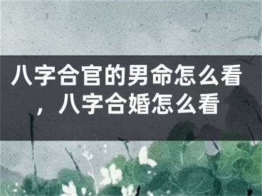 八字合官的男命怎么看，八字合婚怎么看