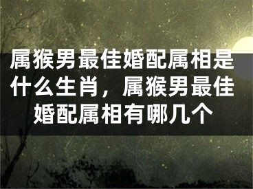属猴男最佳婚配属相是什么生肖，属猴男最佳婚配属相有哪几个
