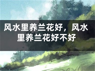 风水里养兰花好，风水里养兰花好不好