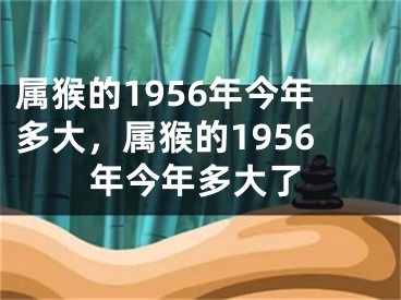 属猴的1956年今年多大，属猴的1956年今年多大了