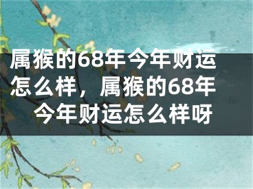 属猴的68年今年财运怎么样,属猴的68年今年财运怎么样呀