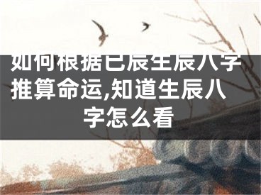 如何根据已辰生辰八字推算命运,知道生辰八字怎么看