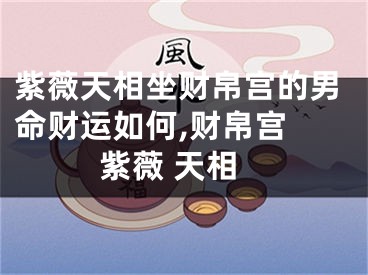紫薇天相坐财帛宫的男命财运如何,财帛宫 紫薇 天相