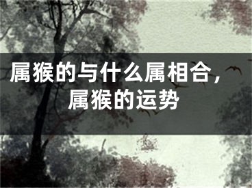 属猴的与什么属相合，属猴的运势