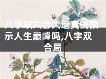 八字双六合大运真的预示人生巅峰吗,八字双合局