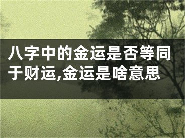 八字中的金运是否等同于财运,金运是啥意思