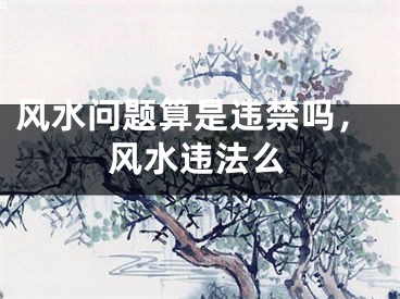 风水问题算是违禁吗,风水违法么