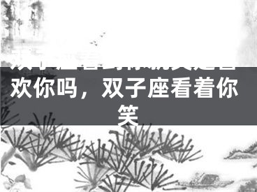 双子座看到你就笑是喜欢你吗，双子座看着你笑