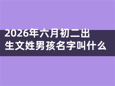 2026年六月初二出生文姓男孩名字叫什么