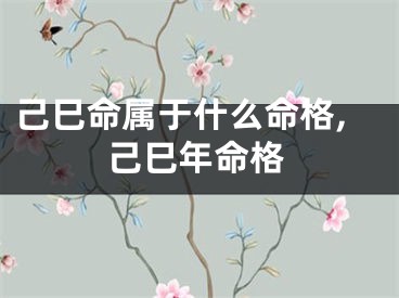 己巳命属于什么命格,己巳年命格