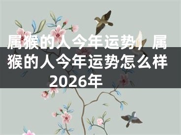 属猴的人今年运势,属猴的人今年运势怎么样2026年