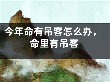 今年命有吊客怎么办,命里有吊客