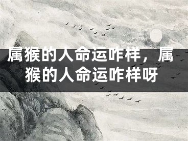 属猴的人命运咋样,属猴的人命运咋样呀