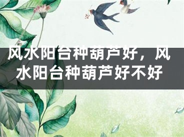 风水阳台种葫芦好，风水阳台种葫芦好不好