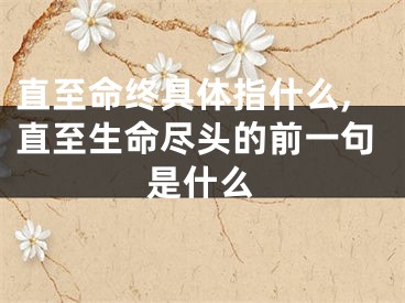 直至命终具体指什么,直至生命尽头的前一句是什么