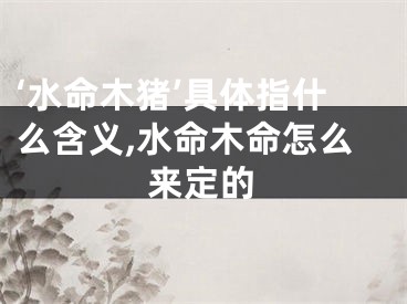 ‘水命木猪’具体指什么含义,水命木命怎么来定的