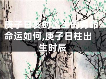 庚子日亥时出生的男命命运如何,庚子日柱出生时辰