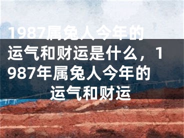 1987属兔人今年的运气和财运是什么,1987年属兔人今年的运气和财运