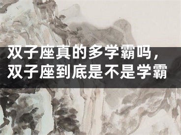 双子座真的多学霸吗,双子座到底是不是学霸
