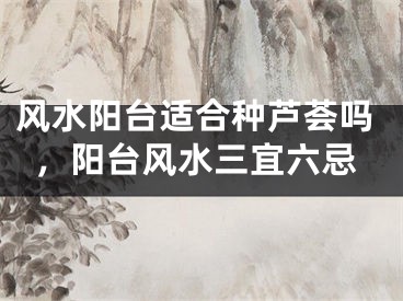 风水阳台适合种芦荟吗，阳台风水三宜六忌