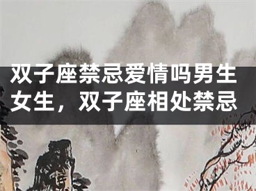 双子座禁忌爱情吗男生女生,双子座相处禁忌