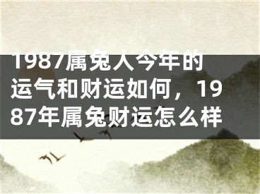 1987属兔人今年的运气和财运如何，1987年属兔财运怎么样