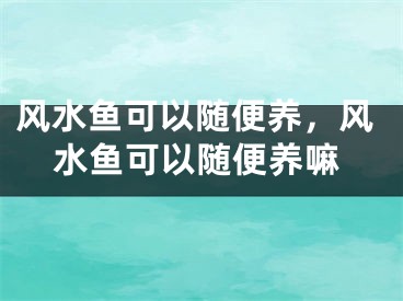 风水鱼可以随便养，风水鱼可以随便养嘛
