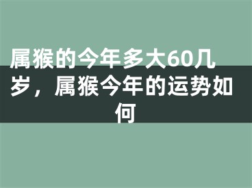 属猴的今年多大60几岁，属猴今年的运势如何
