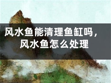 风水鱼能清理鱼缸吗,风水鱼怎么处理