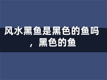 风水黑鱼是黑色的鱼吗，黑色的鱼