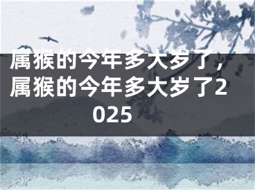 属猴的今年多大岁了,属猴的今年多大岁了2025