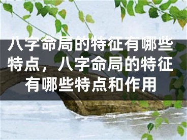 八字命局的特征有哪些特点，八字命局的特征有哪些特点和作用