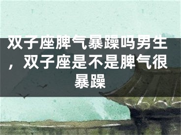 双子座脾气暴躁吗男生,双子座是不是脾气很暴躁