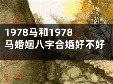 1978马和1978马婚姻八字合婚好不好