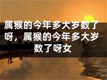 属猴的今年多大岁数了呀,属猴的今年多大岁数了呀女