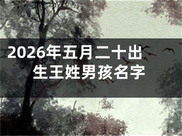 2026年五月二十出生王姓男孩名字