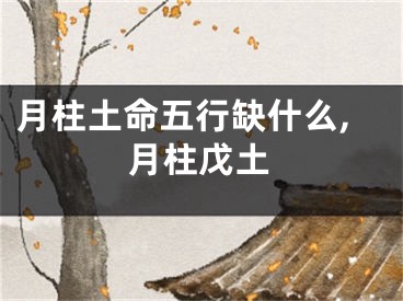 月柱土命五行缺什么,月柱戊土