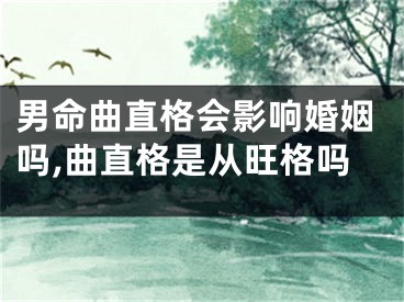 男命曲直格会影响婚姻吗,曲直格是从旺格吗