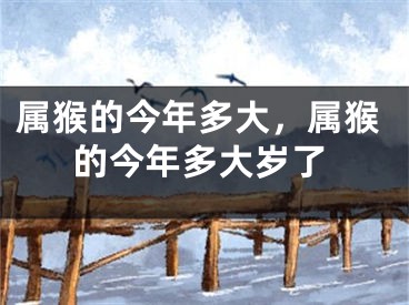 属猴的今年多大,属猴的今年多大岁了