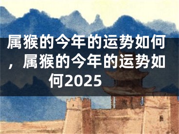 属猴的今年的运势如何,属猴的今年的运势如何2025