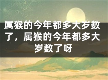 属猴的今年都多大岁数了,属猴的今年都多大岁数了呀
