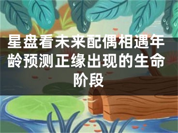 星盘看未来配偶相遇年龄预测正缘出现的生命阶段