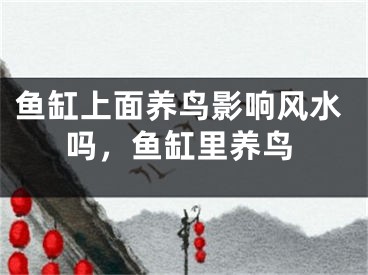 鱼缸上面养鸟影响风水吗，鱼缸里养鸟